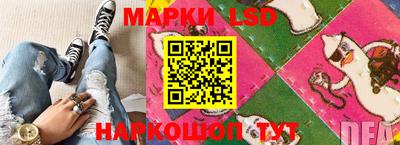ГАЛЛЮЦИНОГЕННЫЕ ГРИБЫ Кандалакша